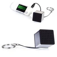 Amplificatore portatile NOISY